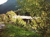 1596  PERUCATTI  2006.JPG